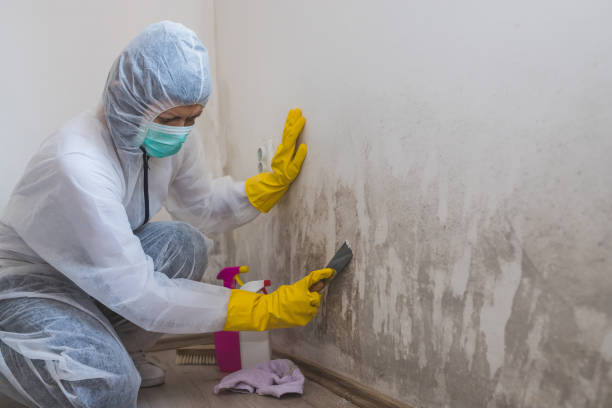 Best Biohazard Mold Removal  in Semmes, AL